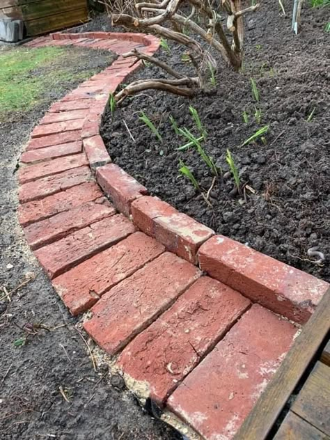 Brick Garden Edging, Brick Path, Brick Garden, Landscape Designs, Garden Edging, Garden Yard Ideas, Yard And Garden, Small Backyard Landscaping, Lawn And Garden