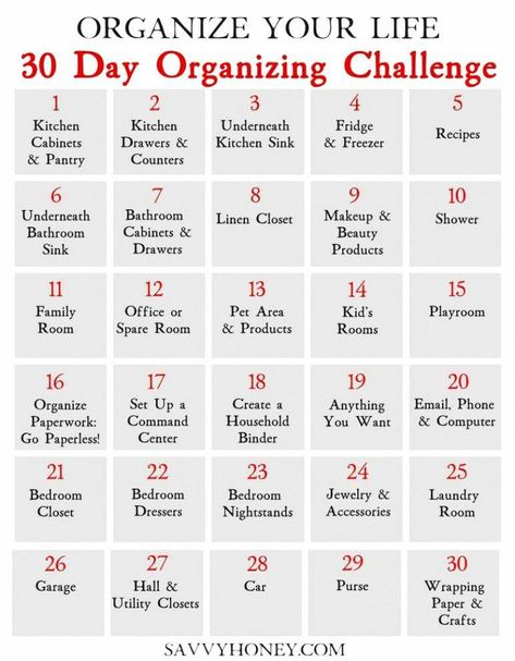 Organization Challenge, 30 Day Challenges, Organizing Challenges, Diy Organizer, Cleaning Painted Walls, Organizational Ideas, Organize My Life, House Cleaning Checklist, Deep Cleaning Tips