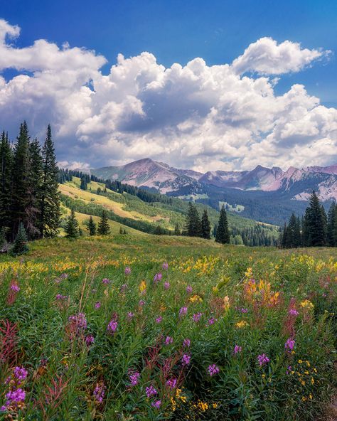 Summer day outside of Crested Butte Colorado [OC] [1639x2048]  Click the link for this photo in Original Resolution.  If you have Twitter follow twitter.com/lifeporn5 for more cool photos.  Thank you author: https://bit.ly/2Z5k3ll  Broadcasted to you on Pinterest by pinterest.com/sasha_limm  Have The Nice Life! Spring Landscapes, Crested Butte Colorado, Crested Butte, Spring Landscape, Pretty Landscapes, 영감을 주는 캐릭터, Nature Landscape, Nature Aesthetic, Pretty Places