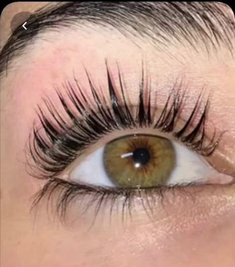 Studera Motivation, Perfect Eyelashes, Dream Vision Board, Life Vision Board, Vision Board Manifestation, روتين العناية بالبشرة, Beauty Goals, Trening Abs, Longer Eyelashes