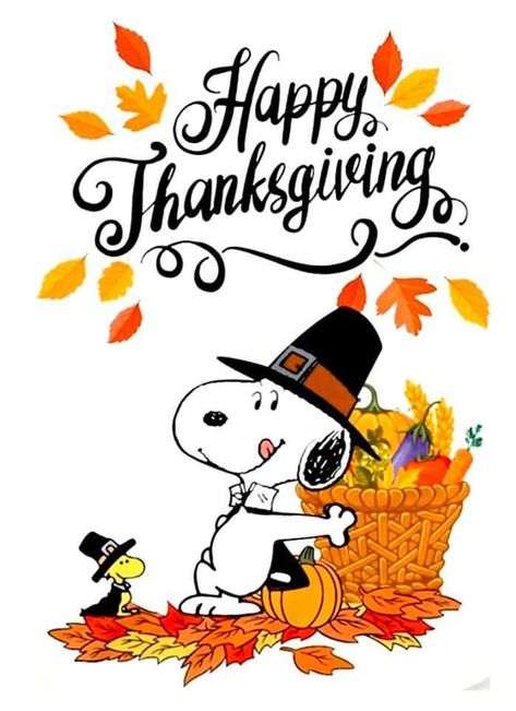 Thanksgiving Snoopy, Happy Thanksgiving Wallpaper, Peanuts Thanksgiving, Happy Thanksgiving Pictures, Peanuts Wallpaper, Charlie Brown Thanksgiving, Happy Thanksgiving Images, Thanksgiving Time, Thanksgiving Pictures