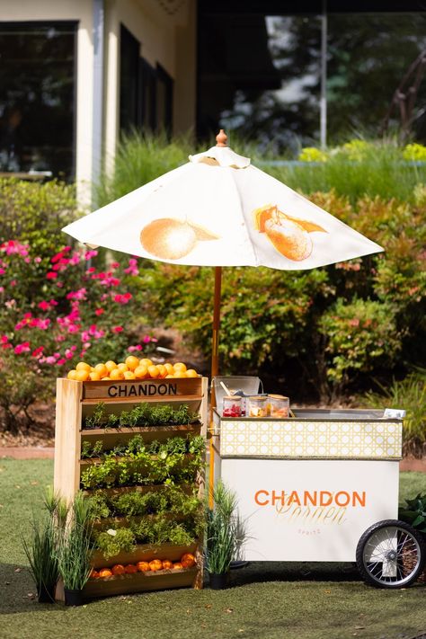 Chandon Garden Spritz - PR Event in Atlanta, GA | The Vendry Brunch Event Decor, Gin Activation, Pr Event Ideas, Corporate Event Styling, Pimms Bar, Chandon Garden Spritz, Launch Event Ideas, Foodtrucks Ideas, Pr Event