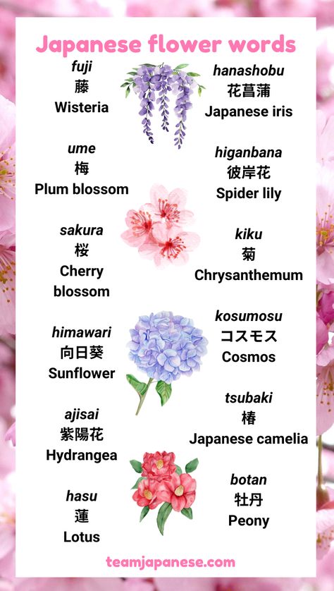 Many beautiful flowers have a special significance in Japanese culture! Learn popular Japanese flower words with this post. Visit Team Japanese to learn more about the culture and meaning behind these Japanese flower names :) Encouraging Japanese Words, Japanese Flowers Meanings, Cute Names In Japanese, Japanese Flower Name, I Love You Too In Japanese, Beautiful Japanese Words And Meanings, Beautiful Japanese Names And Meanings, Last Names Japanese, Japanese Flowers Aesthetic