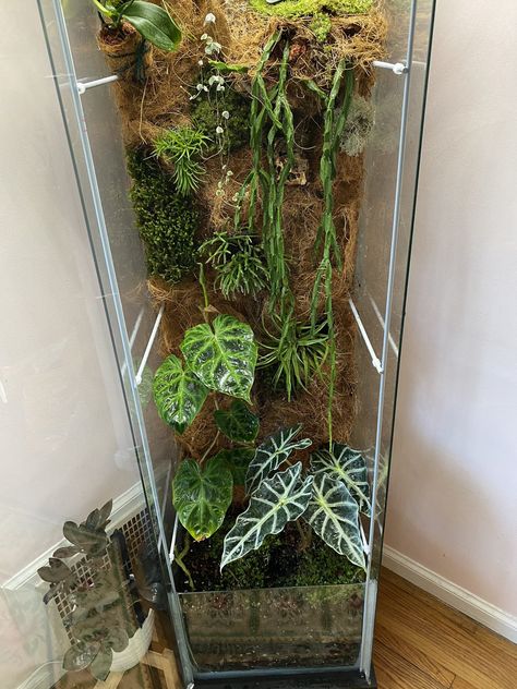 Garden terrarium