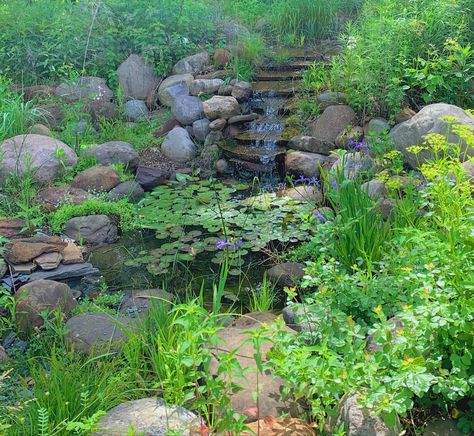 Photo of a small watering hole with smaller waterfall feature, Lilly pads and overgrown wildflowers are around Arailym Core, Hailey Aesthetic Core, Braylee Core, Elizacore Aesthetic, Kristy Core, Jaylin Core, Keely Core, Ansley Core, Kaleigh Core