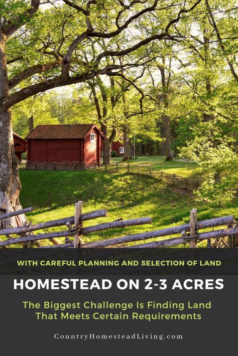 2 Acre Homestead, Hobby Farms Layout, Diy Homesteading, Country Homestead, Small Homestead, Homestead Layout, Sustainable Homestead, Homesteading Tips, Homesteading Animals