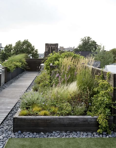 Ask the Expert: Roof Garden Basics with Designer Julie Farris - Gardenista Roof Garden Design, Rooftop Terrace Design, Rooftop Design, Meadow Garden, Pergola Design, Planting Plan, Terrace Design, Rooftop Garden, Small Space Gardening