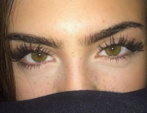 Josh Richards, Long Lashes, Green Eyes, Eyebrows, The Story, Lashes, Green, Black