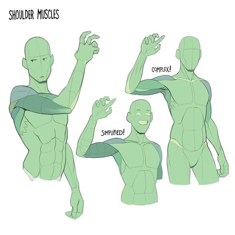 Arm Anatomy, Arm Drawing, Anatomy Tutorial, Human Anatomy Drawing, Human Anatomy Art, Anatomy Sketches, Different Poses, Anatomy Poses, Body Reference Drawing