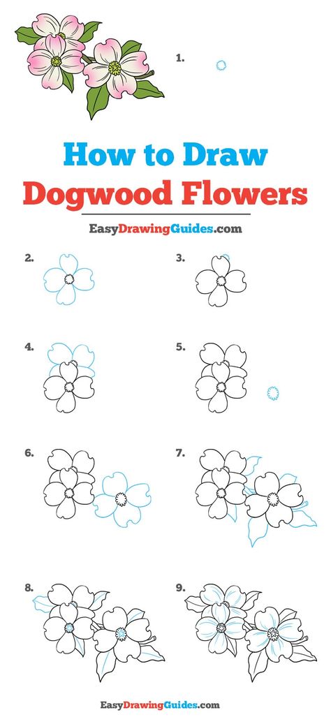 How to draw dogwood flowers: Step by step drawing tutorial Hur Man Ritar Blommor, Trin For Trin Tegning, Simple Flower Drawing, How To Draw Flowers, Easy Flower Drawings, Flower Step By Step, Flower Drawing Tutorials, Flowers Easy, Drawing Guides