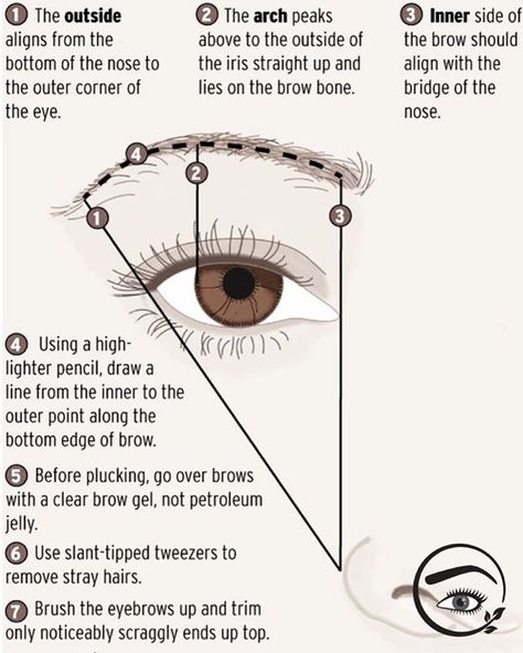 Mapping Your Eyebrows - I start by using the Golden Ratio to determine the beginning and ending points of the eyebrow by carefully measuring this in relation to the brow bone and top of the eyelid. Your bone structure will set some natural boundaries but all of this will be discussed during the initial consultation. #mapping #projectionmapping #lashmapping #browmapping #3dmapping #mapping3d #brows #browsonfleek #browshaping #perfectbrows #browsonpoint #tips #beautytips #tipsy #businesstips # How To Pluck Eyebrows, Pluck Eyebrows, Permanente Make-up, Best Eyebrow Makeup, Mekap Mata, Plucking Eyebrows, Arched Eyebrows, Fill In Brows, Eyebrow Makeup Tips