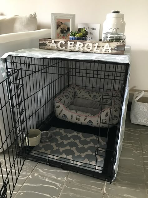 Small Dog Decor, Decorated Dog Crates, Puppies Cage Ideas, Dog Crate Apartment Ideas, Crate Area For Dogs, Cozy Crate For Dogs, Aesthetic Dog Cage Ideas, Apartment With Dog Ideas, Dog Bed In Apartment