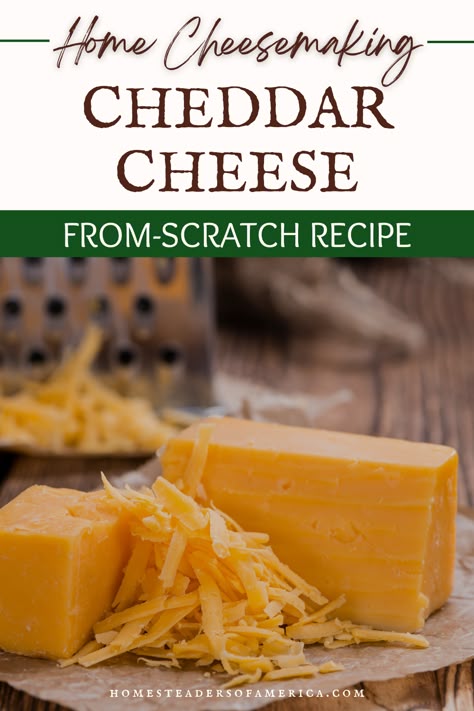 How To Make Cheddar Cheese, Diy Cheddar Cheese, Sharp Cheddar Cheese Recipes, Homemade Cheese Recipes, Homemade Cheddar Cheese, Made From Scratch Recipes, Cheese Recipes Homemade, Cheddar Cheese Recipes, Cheese Making Recipes