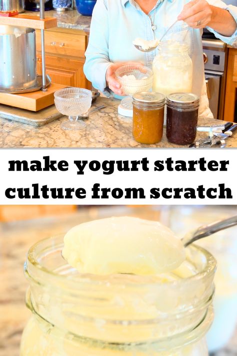 Yogurt Sourdough Starter, Homemade Yogurt Without Starter, Homemade Yogurt Starter Culture, Yogurt Culture How To Make, How To Make Your Own Yogurt, Yogurt Starter Recipe, Make Yogurt Homemade, Making Yogurt Homemade, Homemade Yogurt Starter