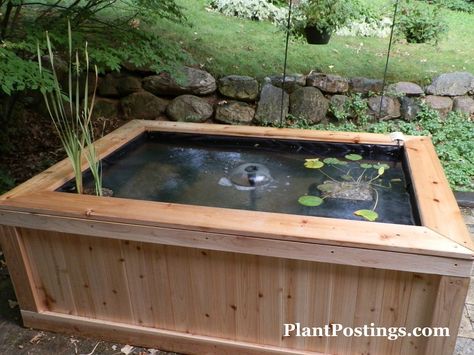 Raised pond Fish Pond Design, Above Ground Pond, Small Fish Pond, Koi Pond Ideas, Raised Pond, Patio Pond, Building A Pond, Goldfish Pond, Pond Maintenance