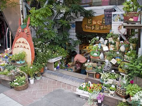 Studio Ghibli Store in Kamakura, Japan I WILL GO HERE (and.... spend a lot of the cashmoney) worth it HELL YEAH Studio Ghibli Store, Ghibli Store, Habbo Hotel, Japan Vibes, Lots Of Plants, Aesthetic Japan, Japan Aesthetic, Kamakura, Ghibli Movies