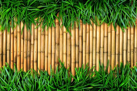 Fabric Reference, Bamboo Background, Grass Background, Bamboo Wall, Back Ground, Bacardi, Green Grass, Stock Photography, Wall Painting