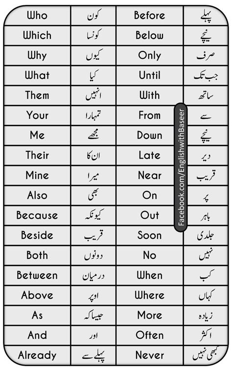 Basic English For Beginners, Daily Vocabulary Words, English To Urdu Vocabulary, Urdu Vocabulary, Learn Urdu, Simple English Sentences, English To Urdu, Basic English Sentences, English Sentence