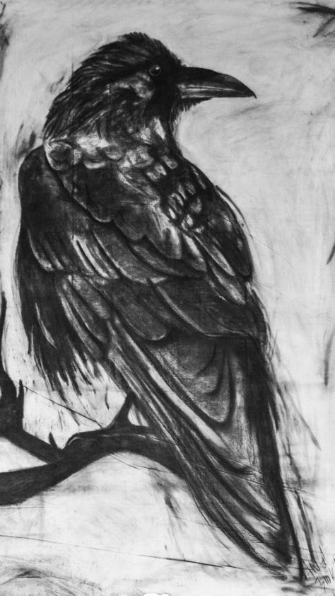 Crows Drawing, Charcoal Artwork, Graphite Art, Art Charcoal, Crow Art, Raven Art, A Crow, Charcoal Sketch, Charcoal Drawings