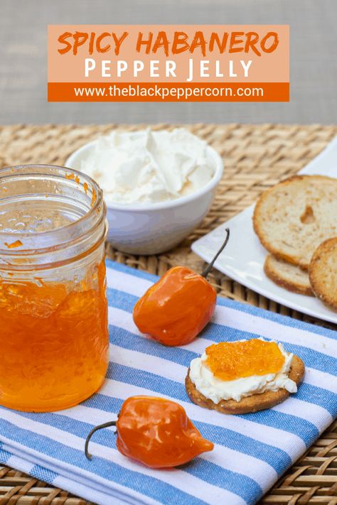 Haberno Jelly Recipes, Habenero Jelly Recipe, Habanero Jam Recipes, Things To Make With Habanero Peppers, Habanero Recipes Pepper Jelly, Canning Habanero Recipes, Habanero Jelly Canning, Habenero Recipes Canning, Ball Jelly Maker Recipes