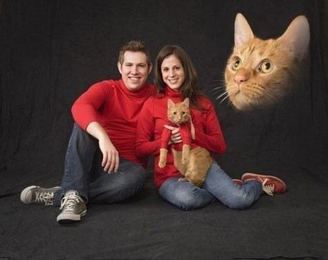 These people who thought this was a cute family portrait. | 23 Cat People Who Need To Be Stopped Awkward Photos, Awkward Family Photos, Fraggle Rock, 밈 유머, Christmas Family Photos, Funny Family, Funny Christmas Cards, Christmas Photoshoot, Family Humor