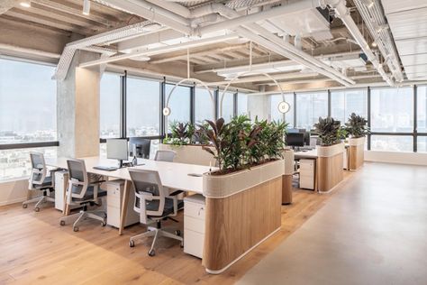 Office With Plants, Open Office Design, Office Design Inspiration, Modern Office Space, Office Interior Design Modern, Corporate Office Design, Office Space Design, Modern Office Design, Office Workstations