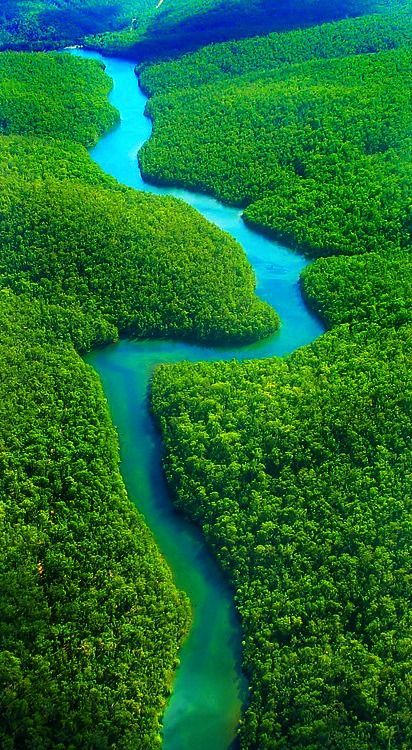 Amazon River, Amazon Rainforest, Travel South, South America Travel, Alam Yang Indah, Quito, The Amazon, Lush Green, America Travel