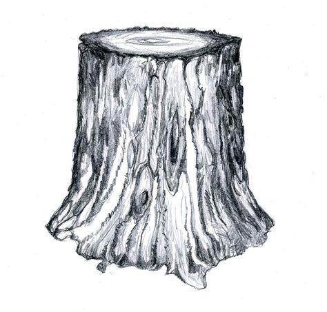 example of a 'cylinder' in nature. June 30th Tree Trunk Texture Drawing, Tree Stump Sketch, Tree Trunk Sketch, Tree Texture Drawing, Tree Stump Drawing, Log Reference, Log Drawing, Tree Trunk Drawing, Drawn Tree