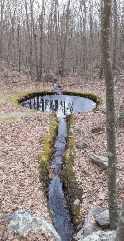 Backyard Stream, Natural Pond, Garden Wallpaper, Perfect Circle, Ponds Backyard, Natural Pool, Diy Backyard, Permaculture, Dream Garden