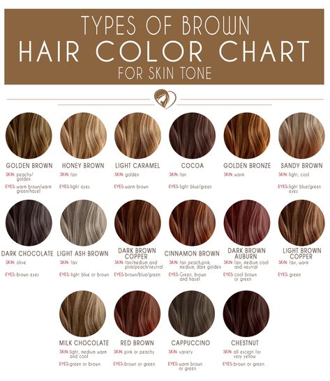 Medium Brown Hair Color Chart #brunette #brownhair  Capuchino  and Chestnut Types Of Brown Hair, Types Of Brown, Brown Hair Color Chart, Medium Brown Hair Color, Hair Color 2017, Golden Brown Hair, Brown Hair Shades, Medium Brown Hair, Brown Hair Color