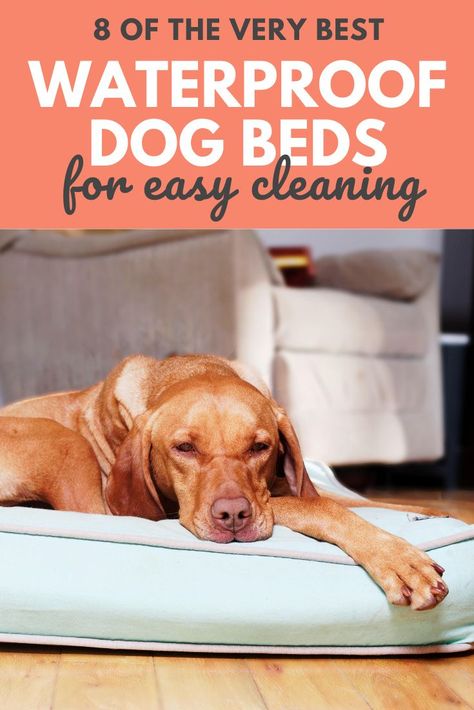 Diy Waterproof Dog Bed, Beds Decor Ideas, Beds Unique, Dog Stuff For The Home, Unique Dog Beds, Diy Dog Beds, Diy Beds, Raised Dog Beds, Pallet Dog Beds