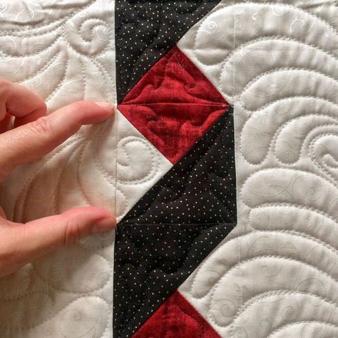 Beautiful Borders, Panel Quilt Patterns, Dresden Plate Quilt, Twisted Ribbons, Ribbon Quilt, Colorful Borders, Quilt Border, Dresden Plate, Quilt Binding