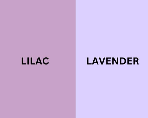 Lilac Vs Lavender Color, Lilac Shades Colour Palettes, How To Make Lavender Colour, Lavender Vs Lilac, Colors That Go With Lavender, Lilac Vs Lavender, Lilac Color Combinations, Lilac Colour Combinations, Lavender Colour Suit