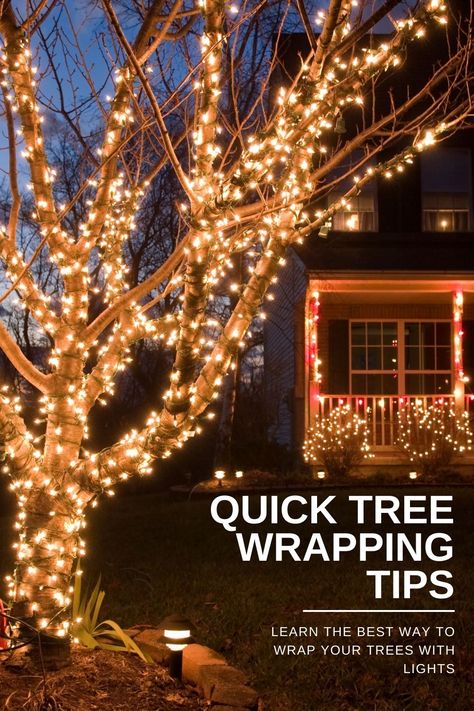 Wrapping one or several trees with lights is an easy way to elevate the atmosphere in your outdoor spaces during any season. Solar Powered Fairy Lights, Outdoor Tree Lighting, Christmas Lights Outside, Hanging Christmas Lights, Christmas House Lights, Outdoor Fairy Lights, Outdoor Trees, Solar Fairy Lights, Christmas Lighting