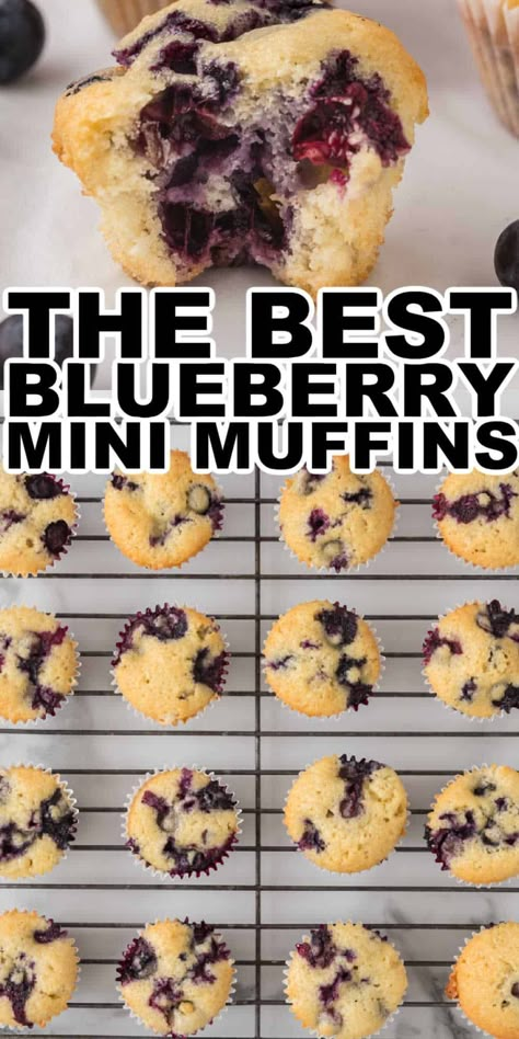 Full of juicy blueberries, this easy-to-make mini blueberry muffins recipe is one our whole family loves. Make a batch of these mini blueberry muffins so you have some to enjoy now and some to freeze to enjoy later. These blueberry muffins have the perfect sweet flavor that is bursting with blueberries. Blueberries Sauce, Mini Blueberry Muffins, Mini Muffin Recipe, White Grape Juice, Homemade Blueberry Muffins, Easy Blueberry Muffins, Blueberry Muffins Recipe, Banana Blueberry Muffins, Healthy Blueberry Muffins