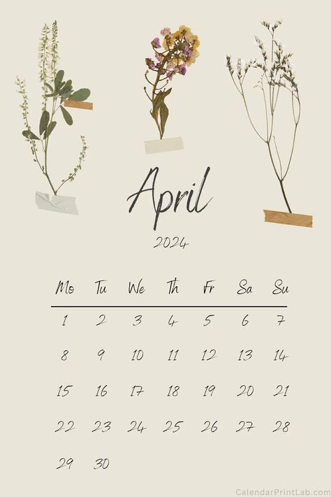 April Screensaver Iphone, April Iphone Wallpaper Aesthetic, March 2024 Calendar Wallpaper Aesthetic, May 2024 Wallpaper, April Calender 2024, Calendar 2024 April, May 2024 Calendar Wallpaper Iphone, April Background Aesthetic, 2024 April Calendar