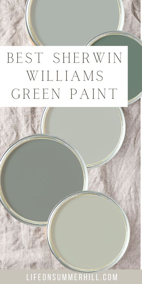 Valspar Gray Green Paint Colors, Sage Basement Walls, Slate Green Color Palette, Sw Clary Sage Coordinating Colors, Irish Garden Paint Color, Silvery Sage Paint Color, Clary Sage Sherwin Williams Color Scheme, Sherwin Williams Mint Green Paint Colors, Silver Tipped Sage Sherwin Williams