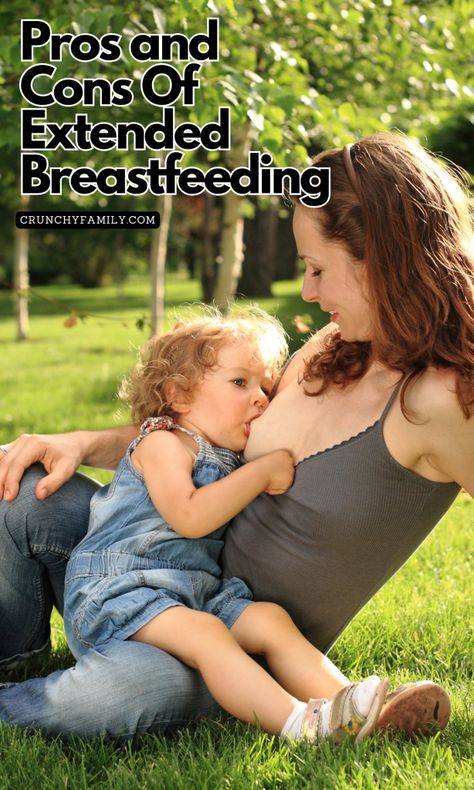 mother nursing a toddler Breastfeeding Photoshoot Ideas, Nursing Photoshoot, Extended Breastfeeding, Breastfeeding Benefits, Free Activities For Kids, Screen Free Activities, Natural Pregnancy, Parenting Strategies, Natural Parenting