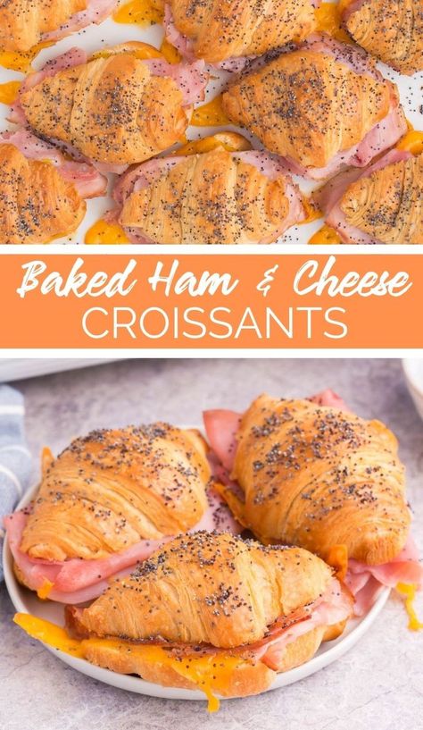 Baked Ham and Cheese Croissants are the best way to start your morning. They are crispy on the outside and soft on the inside! Cresent Roll Ham And Cheese Sliders, Ham And Cheese Crossiant Bake, Ham And Cheese Crossiant Sandwiches, Ham And Cheese Mini Croissant, Make Ahead Ham And Cheese Croissants, Ways To Use Croissants, Croissant Sandwiches Ideas, Easy Ham And Cheese Croissant, Ham And Cheese Crossaints