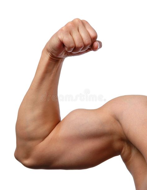 Close up of man's arm. Showing biceps , #Affiliate, #man, #Close, #arm, #biceps, #Showing #ad Bent Arms Reference, Muscular Arms Reference, Bicep Reference, Arm Photo Reference, Bicep Anatomy, Arm References Photos, Muscular Arm Reference, Muscle Poses, Buff Arms