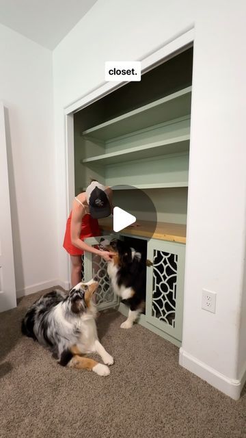 Morgan Renfro on Instagram: "I built our dogs kennels right into our guest bedroom closet 🔨🐾 today I added the doors!! After 3 and a half attempts I finally got them functional and safe - no pokey wires exposed!! I should probably take a cabinet making course. I do a ton of trial and error around here and let me tell you.. there’s a lot of error. But the crates are done and I think they look great, and the dogs approve! I need to get their beds back in, organize the shelves, and we will be totally done! #builtin #dogfurniture #kennelfurniture #dogkenneldiy #diy #dogmom #custombuiltin #hiddendogcrate #doityourself" Dog Corner Ideas, Dog Kennel Furniture Diy, Guest Bedroom Closet, Built In Dog Bed, Under Stairs Dog House, Dog Cabinet, Dog Closet, Autumn House, Dog Bedroom