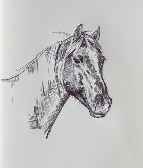 A ballpoint pen sketch. I'm not sure what I think about this one but I just love drawing in this style. Ink Animal Drawings, Mule Drawing, Animal Sketch Ideas, Western Horse Drawing, Cowboy Sketch, Western Pencil Drawings Cowboy Art, Quarter Horse Drawing, Horse Pen Drawing, Ballpoint Pen Sketch