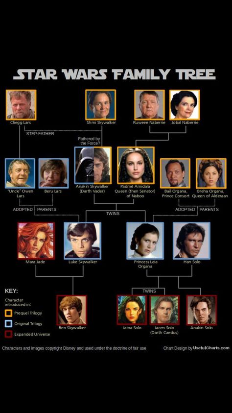 Star Wars Family Tree, Australian Money, Star Wars Timeline, Royal Lineage, Mara Jade, Star Wars Padme, Anakin And Padme, Star Wars Anakin, Star Wars Facts