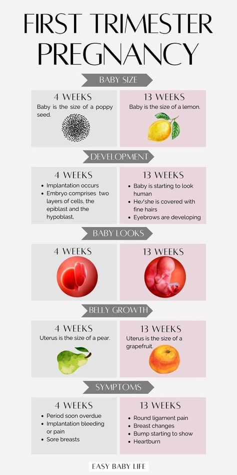 First Trimester Symptoms, Pregnancy Planning Resources, Pregnancy Weeks, First Trimester Pregnancy, Pregnancy Test Results, First Trimester Tips, Pregnancy Planning, Trimester By Weeks, Baby Weeks