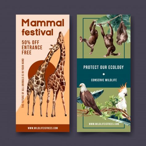 Dream Design Graphic, Zoo Poster Design, Zoo Marketing, Monkey Logo Design, Zoo Signage, Giraffe Family, Cartoon Monkey, Name Card Design, Wild Animals Pictures