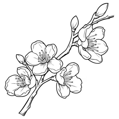 Premium Vector | Cherry flower blossom botanical art Spring almond sakura apple tree branch hand draw doodle vector illustration Cute black ink art isolated on white background Realistic floral bloom sketch Apple Blossom Tattoos, Art Class Posters, Apple Tree Branch, Cherry Blossom Vector, Cherry Blossom Drawing, Branch Drawing, Almond Flower, Black Ink Art, Tree Doodle