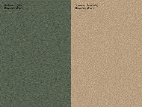 34 Best Two Color Combinations for Bedroom Walls in 2023 Paint Idea For Bedroom Walls, Brown With Green Undertones, Olive Bedroom Design, Khaki Walls Bedroom, Bedroom Paint Ideas Master Color Schemes Green, Olive Green Bedroom Walls Color Pallets, Green Combination Bedroom, Green Two Tone Walls, Two Color Combination For Bedroom