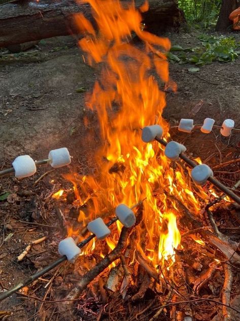 Summer Camp Aesthetic, Camp America, Camp Aesthetic, Summer Vision Board, Camping Vibes, Summer Vision, Camping Aesthetic, Camp Vibes, Summer Plans