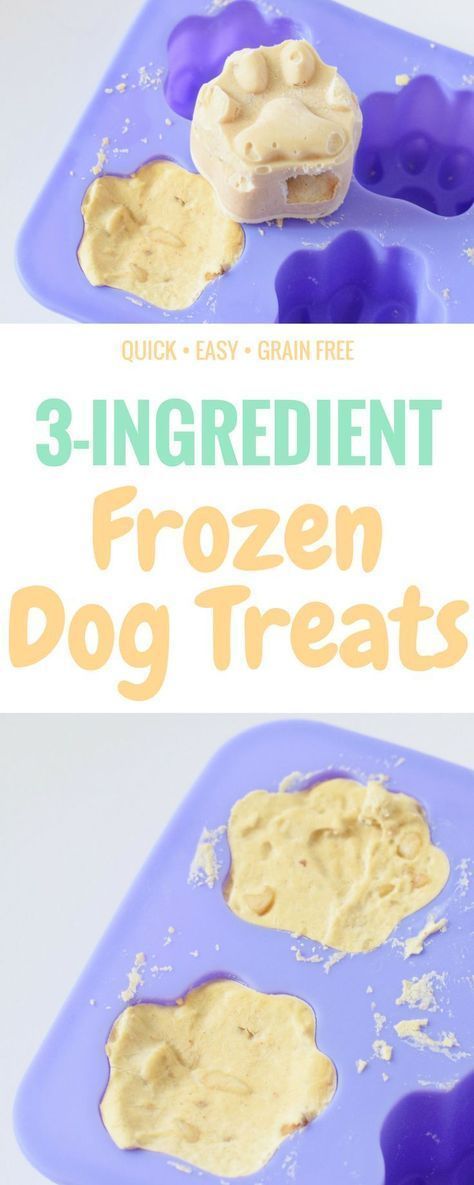 Frosty Paws Recipe, Diy Frosty, Diy Dog Treats Healthy, 3 Ingredient Dog Treats, Frosty Paws, Best Dog Treats, Dog Treats Homemade Easy, Easy Dog Treat Recipes, Dogs Treats