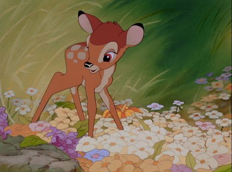 It's not just about enchanted roses. Bambi 1942, Bambi Disney, Magnolia Park, Disney Icons, Images Disney, Disney Animals, Old Disney, Pinturas Disney, Disney Aesthetic